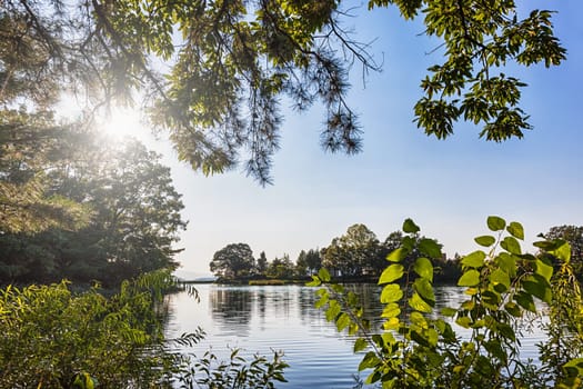 Lake or pond landscape through branches and leaves with sun light and trees reflection on water