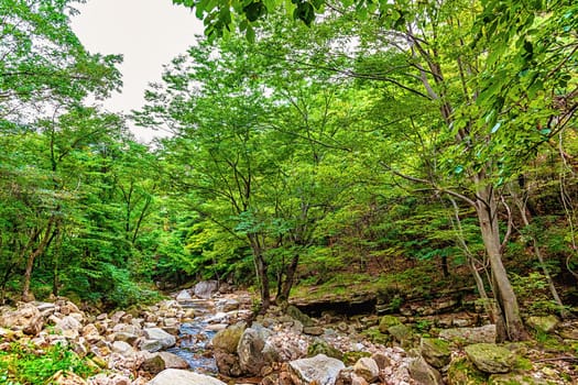 River with rocks and stones in mountain forest in South Korea