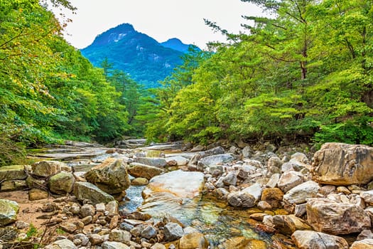 River with rocks and stones in mountain forest in South Korea