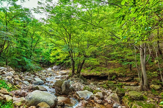River with rocks and stones in mountain forest in South Korea