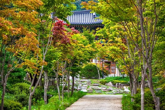 Alley in park or road with trees to old monks temple in South Korea at autumn