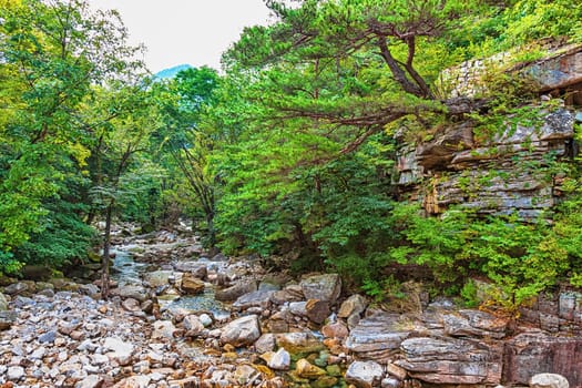 River with rocks and stones in mountain forest in South Korea