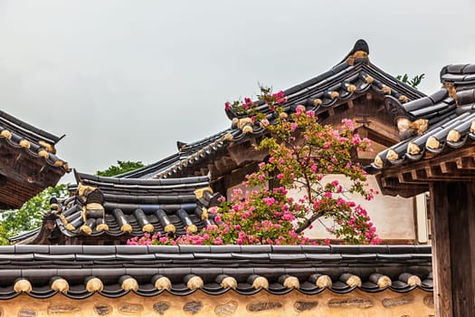Traditional old korean architecture building with tree and pink flowers at rainy day in South Korea