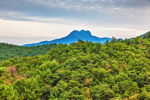 Mountains with green trees landscape in South Korea