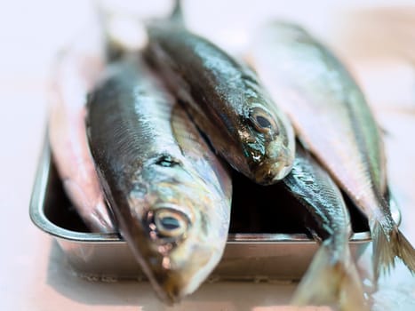 tray of fish in the market