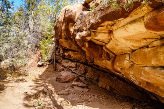 Hiking trail in Grasshopper Canyon near Santa Fe, New Mexico