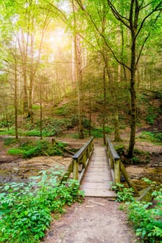 Footbridge over a creek on a hiking trail in Red River Gorge, Kentucky