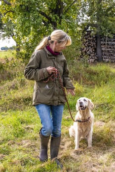 Dog trainer trains a golden retriever on a meadow in autumn.
