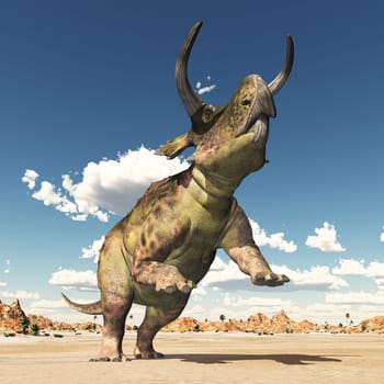 Computer generated 3D illustration with the dinosaur Nasutoceratops in a landscape