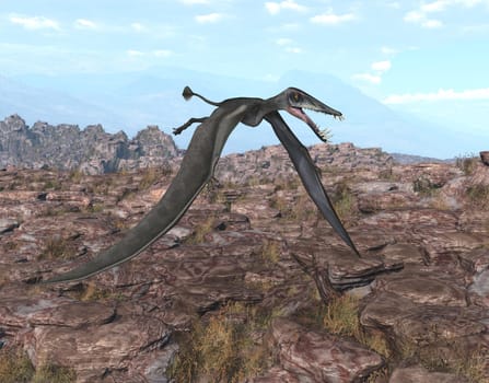 Computer generated 3D illustration with the pterosaur Dorygnathus over a rocky landscape