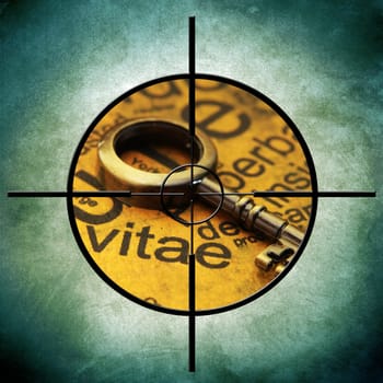 Vitae target concept