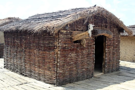 Straw house