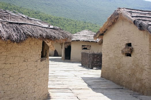 Straw houses
