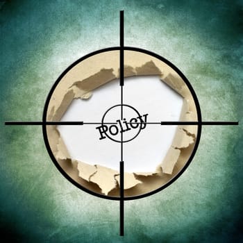 Policy target