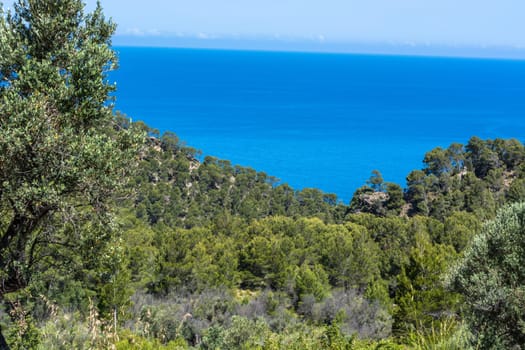 Wild West Coastline of Mallorca, Spain in the background the Mediterranean Sea.