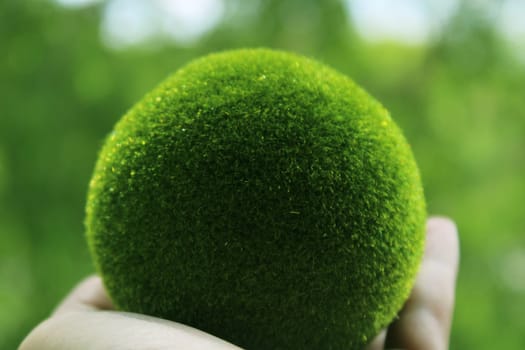 A green grass ball in his hand in close-up on a green background. Earth Day. Ecological concept..
