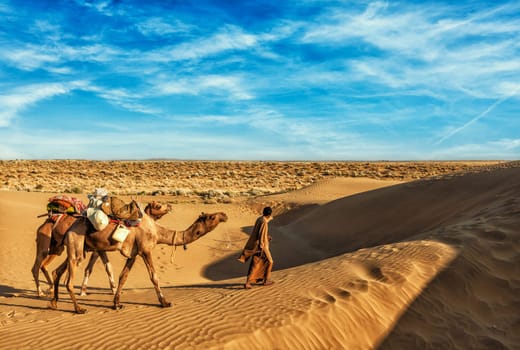 Rajasthan travel background - India cameleer (camel driver) with camels in dunes of Thar desert. Jaisalmer, Rajasthan, India