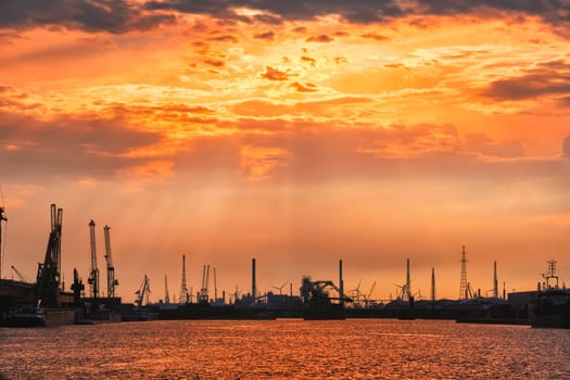 Port of Antwerp crane silhouettes on sunset. Antwerp, Belgium