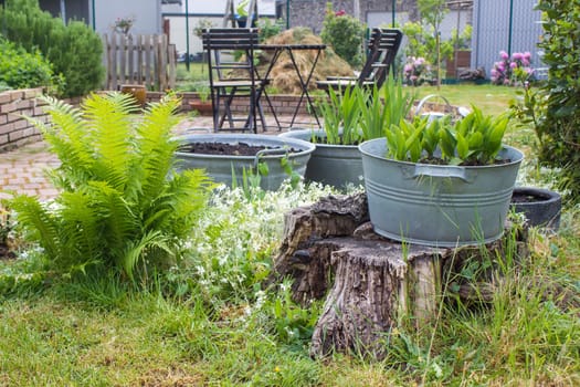 rustic garden -  fern,  plants in tin tub, chairs and table