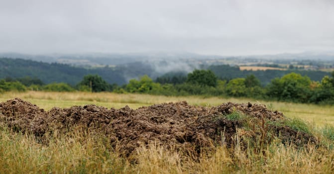 large heap of manure, organic fertilizer panoramic