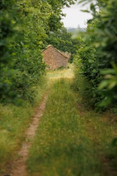 Small bungalow at the end of a green path
