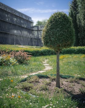 A landscape with well-groomed tree on the botanical greenhouse background