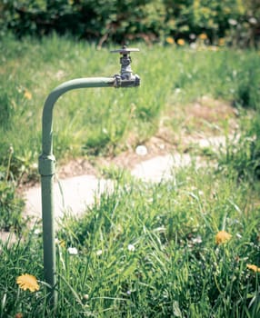 A dry old water valve on the background of green gross garden landscape
