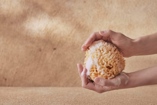 A natural sea sponge in hands of young woman with foam on beige background for spa and massage concepts. Wellness photography with copy space.