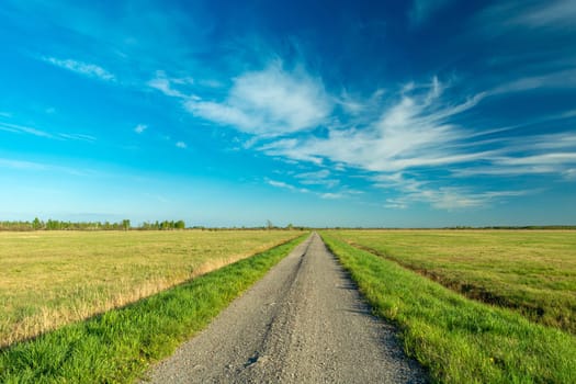 Gravel road through meadows and blue sky, Srebrzyszcze, Poland
