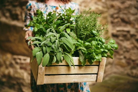 Crop anonymous female farmer with wooden box full of fresh organic greens in hands standing in rural area during harvesting season