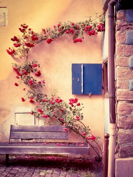 Aged wooden bench placed against building under curved branch with red flowers crawling on wall in Provence
