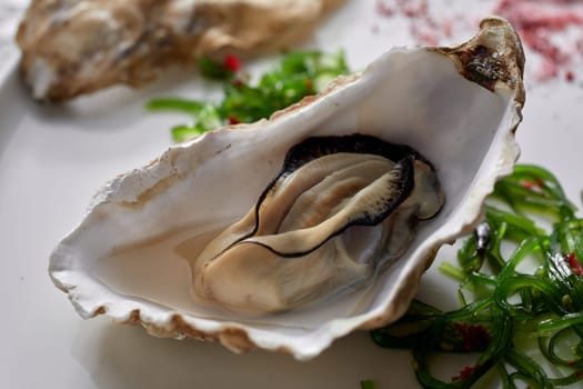 High angle of delicatessen raw oyster with Japanese wakame salad on plate in luxury restaurant