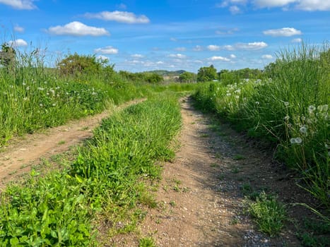 Idyllic dirt road leads through peaceful serene green grass pasture under blue sky with puffy white clouds. Journey concept, new beginning, with no people and copy space, shot in natural late afternoon warm sunlight.