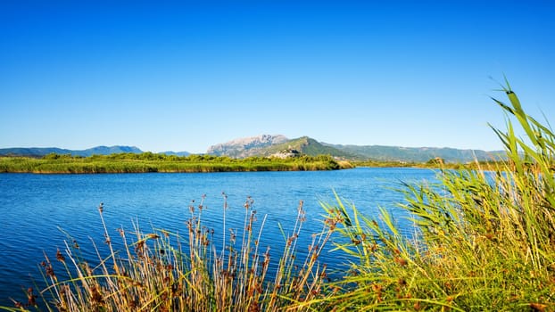 Panoramic view of the Posada pond in the Tepilora regional park. Unspoiled nature.