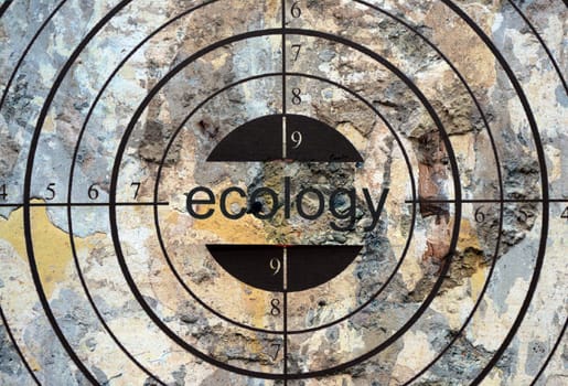 Ecology target