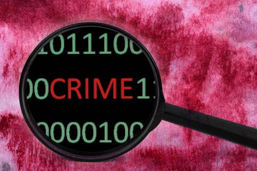 Web crime