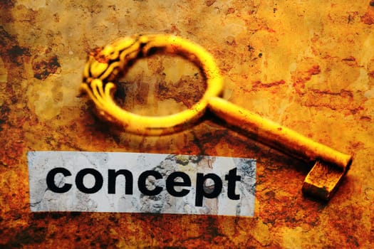 Concept