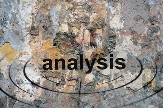Analysis target