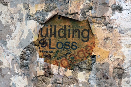 Loss concept