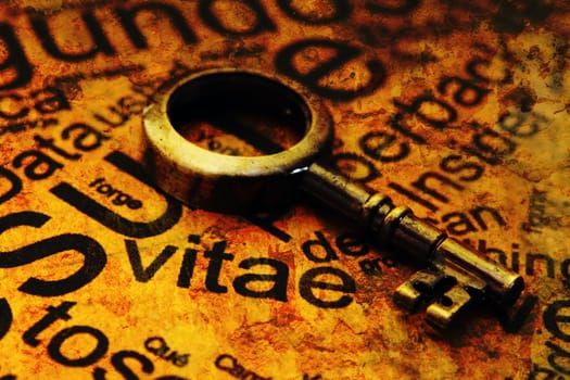 Close up of a Curriculum Vitae with old key