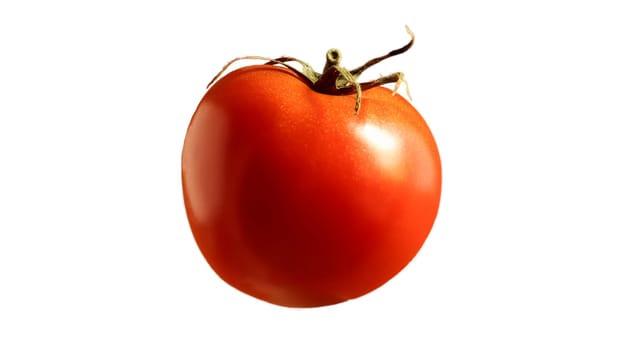 One fresh tasty red tomato. Juicy multi-celled berry. An annual or perennial herb. Vegetable culture. Juicy tomato with a green stem on a white background
