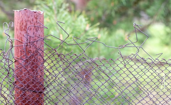 Mesh old ragged cage in the garden and a rusty pole with green grass as a background. Metal fence with wire mesh. Metal fence made of steel iron mesh. Abstract background. copy space