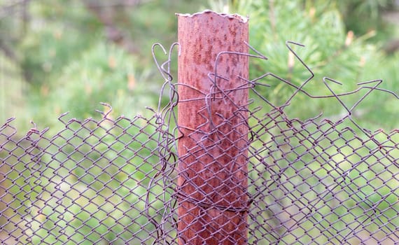 Mesh old ragged cage in the garden and a rusty pole with green grass as a background. Metal fence with wire mesh. Metal fence made of steel iron mesh. Abstract background. copy space