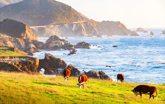 Big sur coast in California, United States of America. Panoramic image.