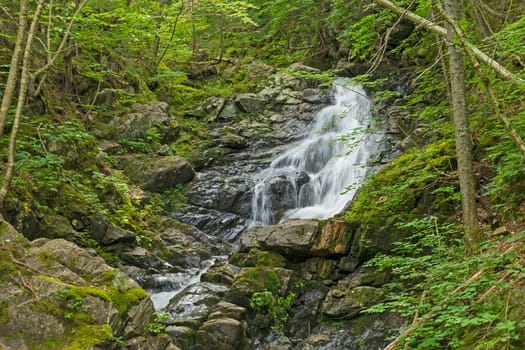 Quiet Cascade Coming Out of a Verdant Forest at the MacIntosh Falls in Cape Breton National Park in Nova Scotia