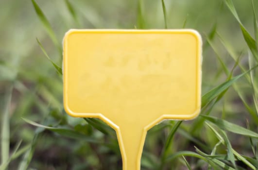 A yellow plastic garden marker indicating a plant in the garden. Label garden for marking. A reusable plate is designed to display information about planted crops
