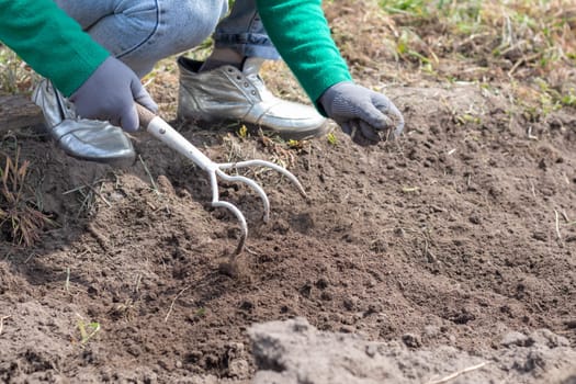 A woman cleans the weeds in the garden. Spring cleaning on the farm. Selective focus. Weeding grass. View of a woman's hand hoeing weeds in the garden on a hot summer day, soil preparation
