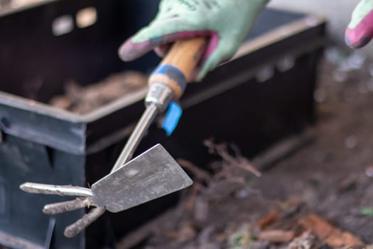 The gardener rakes the soil for planting. To work in the garden. Women's hands in gloves hold a garden tool and loosen the ground, caring for and growing garden plants. Plant a plant in the garden