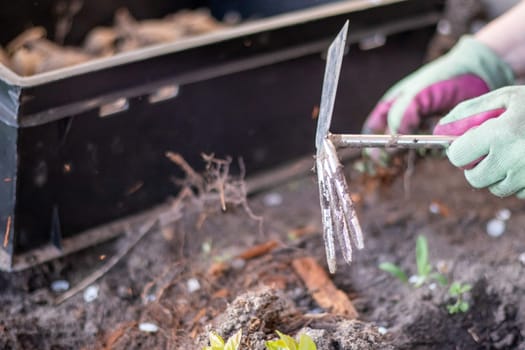 The gardener rakes the soil for planting. To work in the garden. Women's hands in gloves hold a garden tool and loosen the ground, caring for and growing garden plants. Plant a plant in the garden