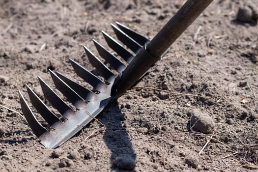 Photo of a garden rake on a bed. Old metal rake in the garden. Spring cleaning. Formation of the soil for planting with a rake in the spring, work with a garden tool. Soil preparation for sowing
